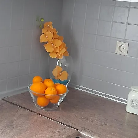 Apartman Giotouli *